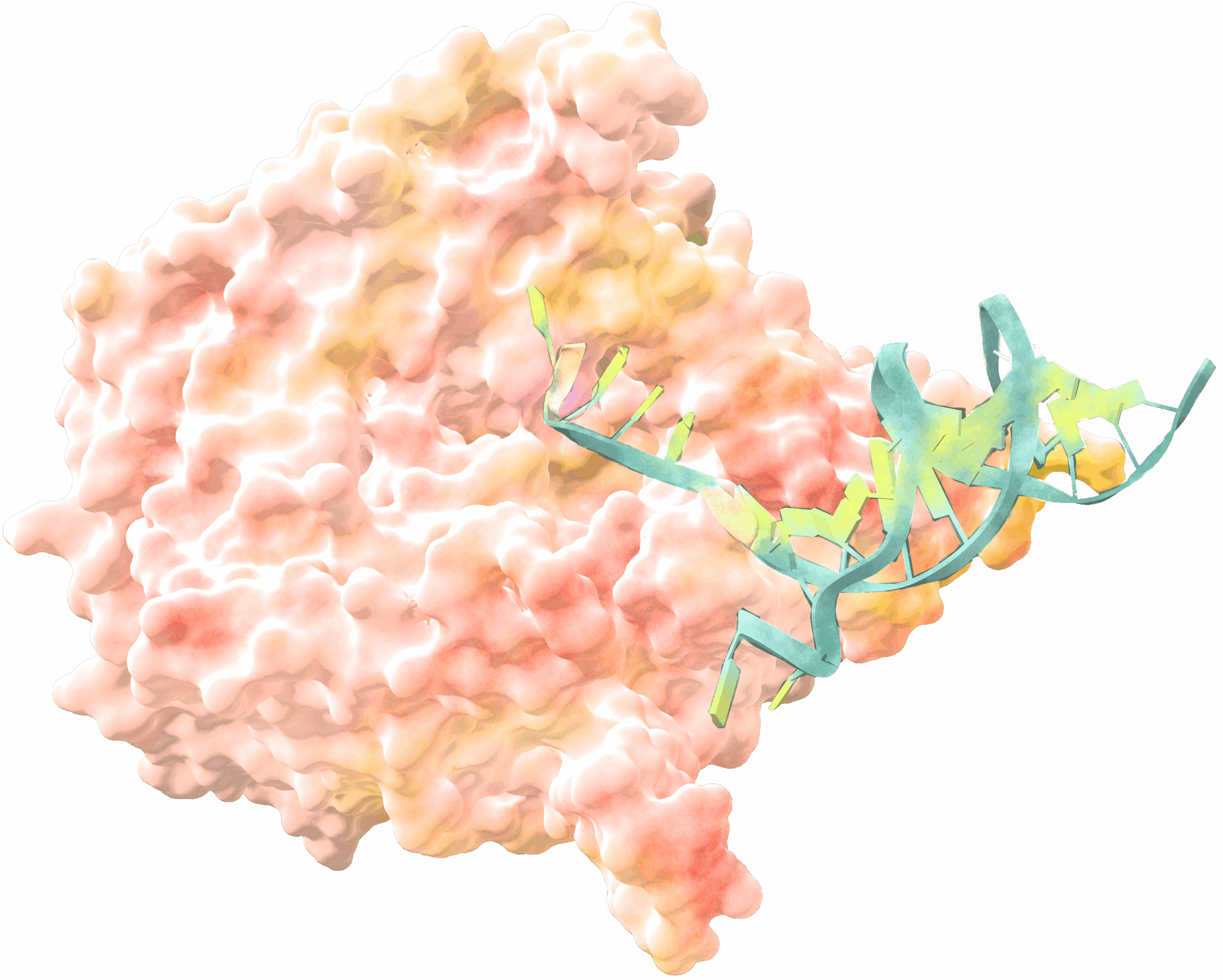 A depiction of proteins